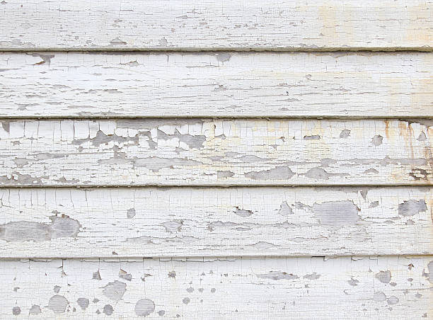 Best Carpet Removal and Disposal  in Jessup, PA